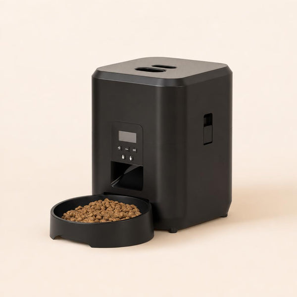 Distributore automatico di cibo per gatti con timer