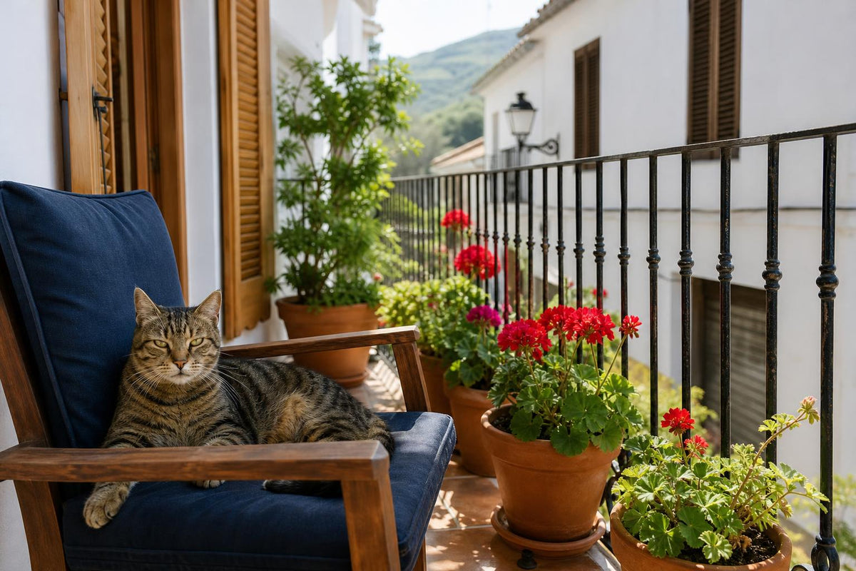 Quantos gatos há em Espanha? Os dados oficiais mais recentes