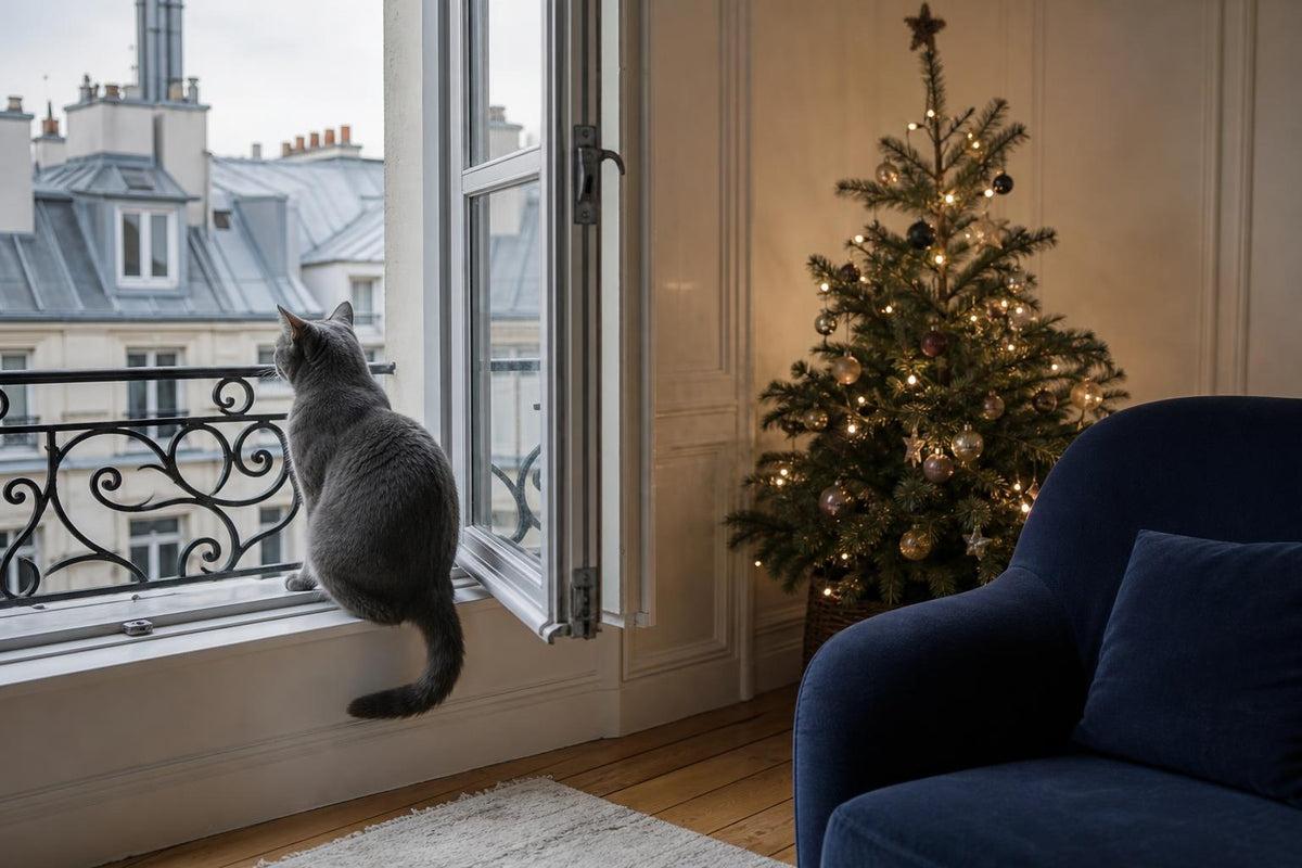 Wie viele Katzen gibt es in Frankreich? Das Land mit den meisten Katzen Europas