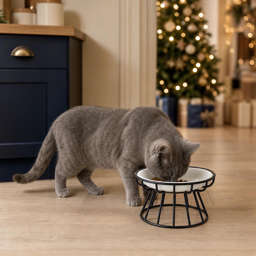 Erhöhter Keramiknapf für Katzen · Weihnachten